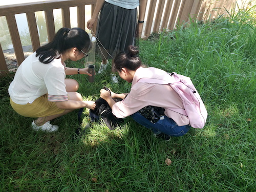 7月10日 澳门银河
 赴嘉兴“青水”小分队实地考察并采样3