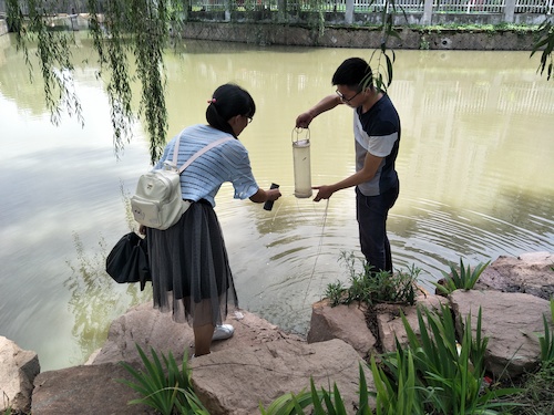 7月10日 澳门银河
 赴嘉兴”青水“小分队 采样