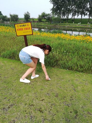 七月十四日 澳门银河
西湖垃圾猎人小分队 钱塘江捡垃圾