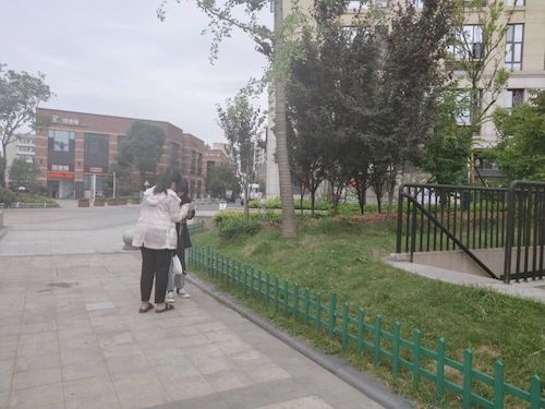 七月十五日 澳门银河
 食品安全问卷调查小分队 受访者 (1)