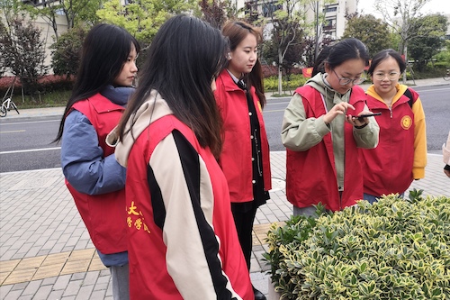 澳门银河
树牌编写志愿者