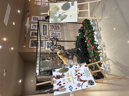 2024.10.29杭师大澳门银河
“永恒芳华”植物标本展和“生命之歌”果实与种子展览1