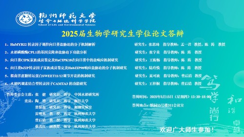 幻灯片11