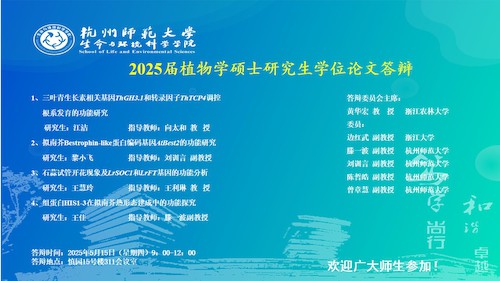 幻灯片12